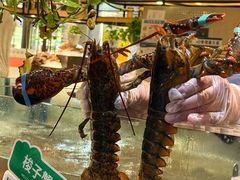 -亚马逊蒸汽活海鲜自助(LCM置汇旭辉广场店)