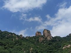-大岭沟猕猴桃谷风景区