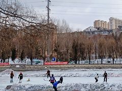 -黛秀湖公园