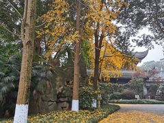 -宝光寺