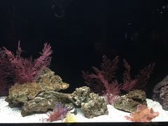 -暹罗海洋世界