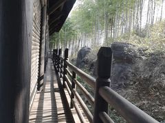-大唐贡茶院