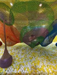 点击看大图 -宝燕乐园(闵行旗舰店)