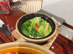 啫生菜-沙胆彪炭炉牛杂煲(上海日月光广场店)