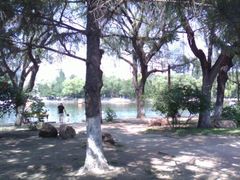 android_upload_pic-沈阳南湖公园