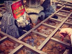 古兜温泉综合度假区-江门古兜温泉小镇