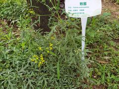 -北京植物园南门售票处