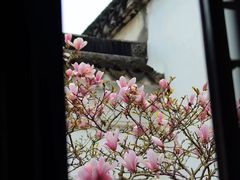 -耦园