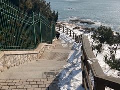-青岛海滨风景区