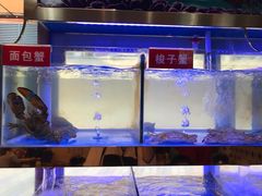 -小龍鳳·港式海鲜打边炉(沙湖路店)