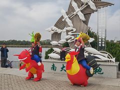 -南大港湿地风景区