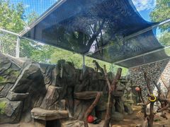 -青藏高原野生动物园