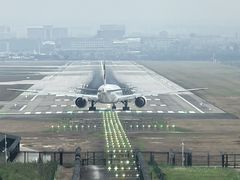 -空港花田景区