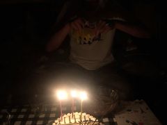 -维尔纳斯·生日蛋糕·动物奶油冰淇淋蛋糕(六里桥店)
