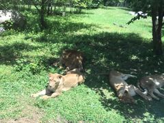 -西安秦岭野生动物园