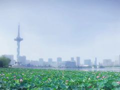-聚龙湖公园