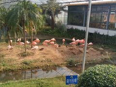 -无锡动物园·太湖欢乐园