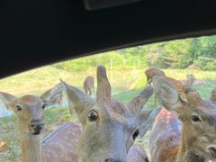-杭州野生动物世界