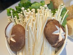 -洋房火锅(上海新天地南北里店)