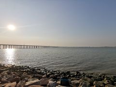 -宝安西湾红树林湿地公园