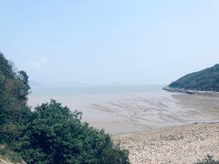-花岙岛