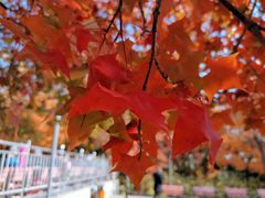 -长辛店二七公园