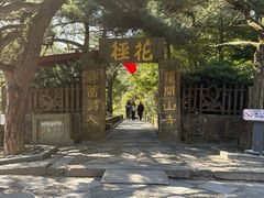 -庐山风景区花径公园