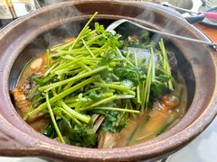 -九道菜有鸡鱼头(石鼓路店)