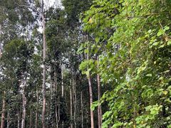 -中国科学院西双版纳热带植物园
