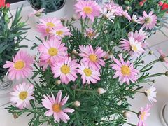 -三旗百汇商品城