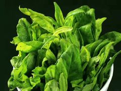 -国际酒店肥牛吧