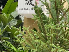 -邊渡咖啡