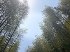 -黄公望隐居地