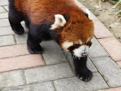 -常州淹城野生动物世界