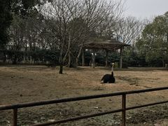 -南昌动物园