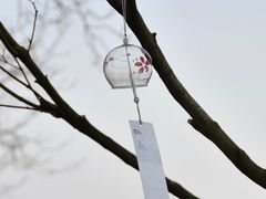 -游子山休闲旅游区