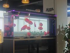 -上海和展广汽丰田4S店(老闵行店)