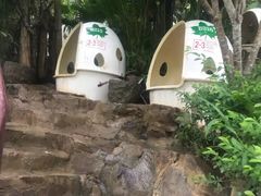 -100蛋泥浆浴