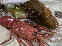 -沙田台山海鲜·酣客酒窖