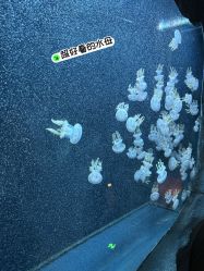 -Zoolung Zoolung动物主题公园(海信广场店)