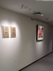 -诗碧曼·头疗养发馆