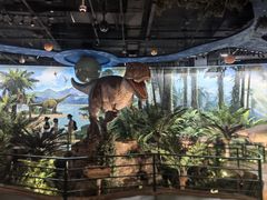 -陕西自然博物馆