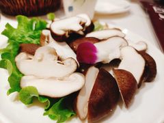 香菇-和兴记潮汕牛肉火锅(太原街万达店)