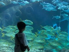 -福州罗源湾海洋世界旅游区