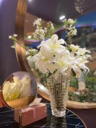 -花隐·美芙炫海菲秀皮肤管理中心