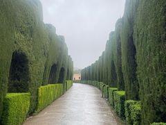 -阿尔罕布拉宫