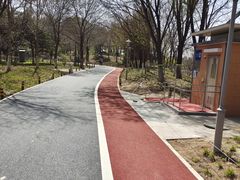 -望湖公园