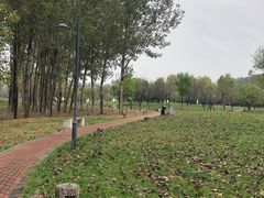-顺鑫绿色度假村