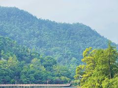 -桃花岭景区