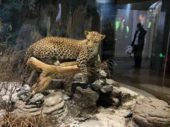 -陕西自然博物馆